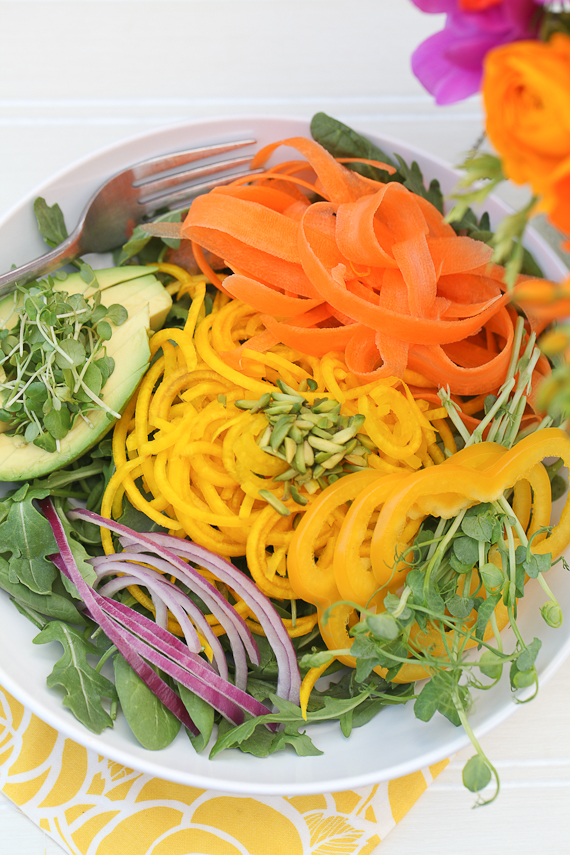 http://www.alkalinesisters.com/wp-content/uploads/2012/05/Rainbow-salad-w-avocado-dressing-1-of-11.jpg