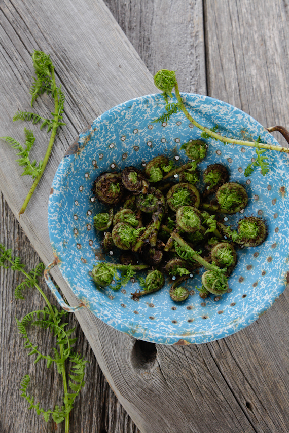 fiddle heads with creamy orzo & spring peas-7108