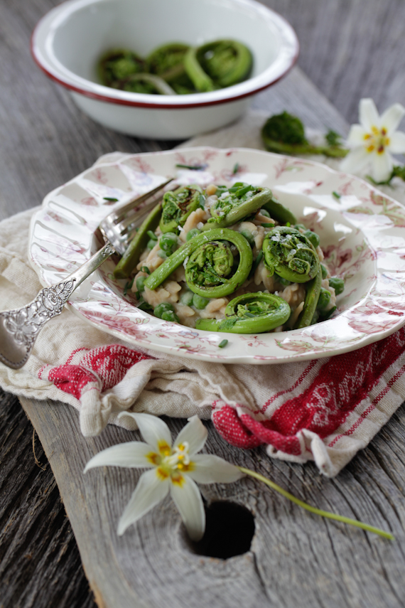 fiddle heads with creamy orzo & spring peas-7123