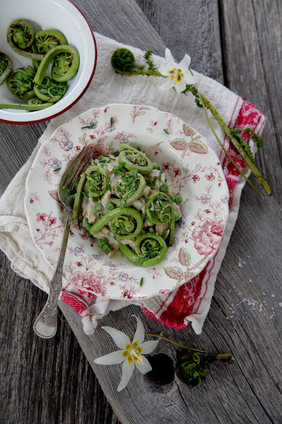 fiddle heads with creamy orzo & spring peas-7129