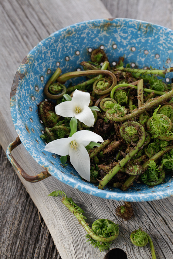 fiddle heads with creamy orzo & spring peas-7159