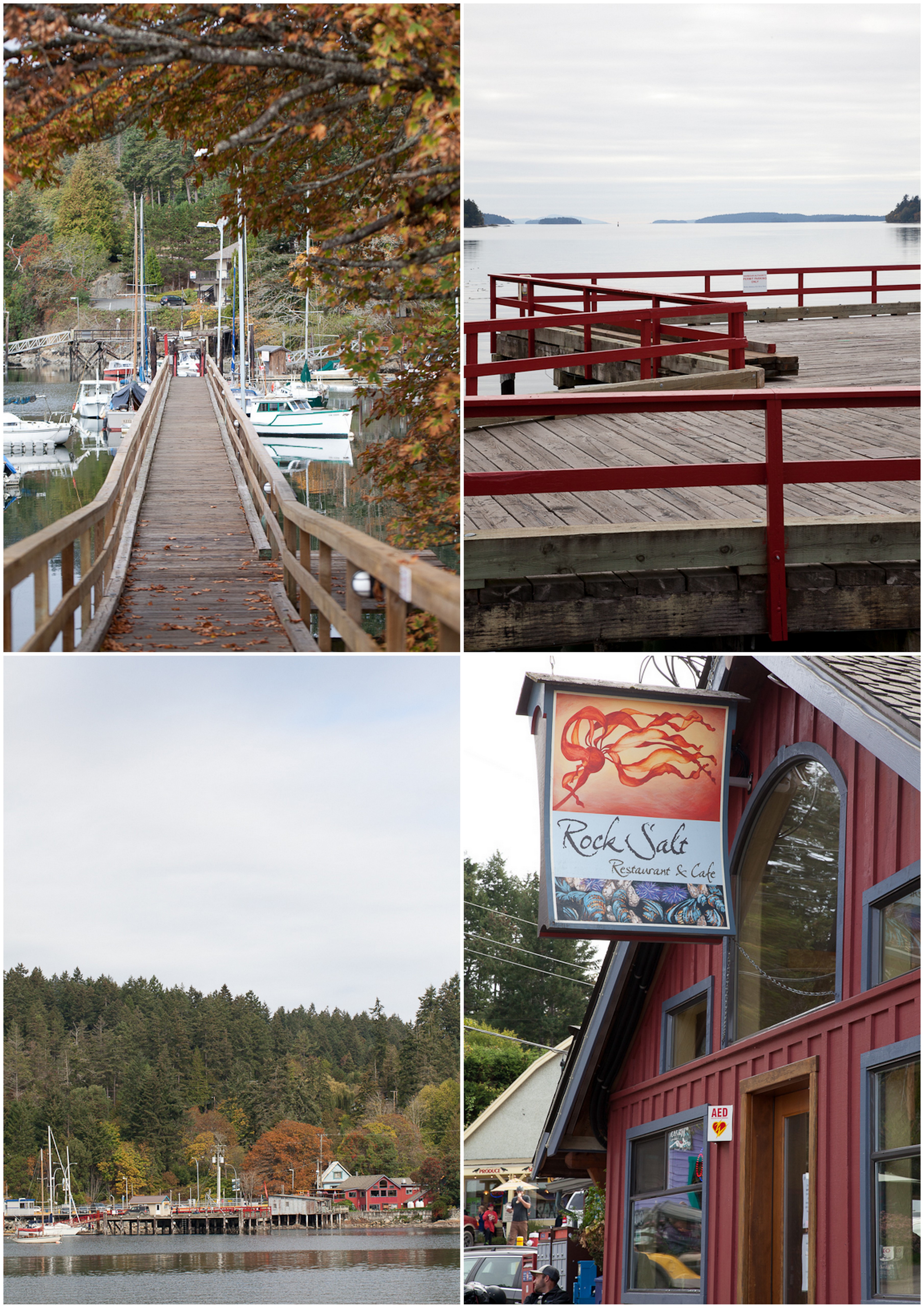 2016-10-25-mindful-saltspring-pics4